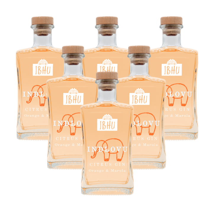 Indlovu Citrus Gin - Marula and Orange (6x750ml)